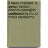 Il Mese Mariano: O Sieno, Trentum Discorsi-Panegirici Contenenti La Vita Di Maria Santissima door Onbekend