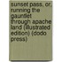 Sunset Pass, Or, Running the Gauntlet Through Apache Land (Illustrated Edition) (Dodo Press)