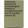 Collections Historical & Archaeological Relating To Montgomeryshire And Its Borders, Volume 30 door Club Powys-land