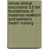 Virtual Clinical Excursions 3.0 for Foundations of Maternal-Newborn and Women's Health Nursing