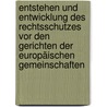 Entstehen und Entwicklung des Rechtsschutzes vor den Gerichten der Europäischen Gemeinschaften door Eva Drewes