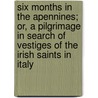 Six Months In The Apennines; Or, A Pilgrimage In Search Of Vestiges Of The Irish Saints In Italy door Margaret Stokes