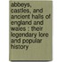 Abbeys, Castles, And Ancient Halls Of England And Wales : Their Legendary Lore And Popular History
