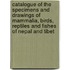 Catalogue Of The Specimens And Drawings Of Mammalia, Birds, Reptiles And Fishes Of Nepal And Tibet