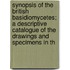 Synopsis Of The British Basidiomycetes; A Descriptive Catalogue Of The Drawings And Specimens In Th