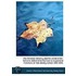 The Christian Ministry And The Social Order; Lectures Delivered In The Course In Pastoral Functions