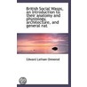 British Social Wasps, An Introduction To Their Anatomy And Physiology, Architecture, And General Nat by Edward Latham Ormerod