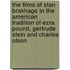 The Films Of Stan Brakhage In The American Tradition Of Ezra Pound, Gertrude Stein And Charles Olson
