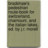 Bradshaw's Pedestrian Route-Book For Switzerland, Chamouni, And The Italian Lakes, Ed. By J.R. Morell door George Bradshaw