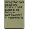 Immigration From Alsace And Lorraine. A Brief Sketch Of The History Of Castro's Colony In Western Texas door Lorenzo Castro