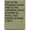 Acts Of The Diocesan Synod Held By The Cathedral Church Of Exeter By Henry, Lord Bishop Of Exeter (1851) door Authority