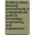 Building Robust Learning Environments in Undergraduate Science, Technology, Engineering, and Mathematics