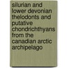 Silurian And Lower Devonian Thelodonts And Putative Chondrichthyans From The Canadian Arctic Archipelago by R. Thorsteinsson