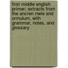 First Middle English Primer; Extracts From The Ancren Riwle And Ormulum, With Grammar, Notes, And Glossary door Henry Sweet