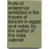 Fruits Of Enterprize Exhibited In The Travels Of Belzoni In Egypt And Nubia, By The Author Of The India Cabinet