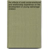 The Effects Of Early Social-Emotional And Relationship Experience On The Development Of Young Orphanage Children door The St. Petersburg-usa Orphanage Research Team