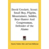 David Crockett, Scout: Small Boy, Pilgrim, Mountaineer, Soldier, Bear-Hunter And Congressman, Defender Of The Alamo door Onbekend