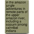 In The Amazon Jungle Adventures In Remote Parts Of The Upper Amazon River, Including A Sojourn Among Cannibal Indians