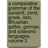 A Comparative Grammar Of The Sanskrit, Zend, Greek, Latin, Lithuanian, Gothic, German, And Sclavonic Languages, Volume 3