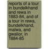 Reports Of A Tour In Bundelkhand And Rewa In 1883-84, And Of A Tour In Rewa, Bundelkhand, Malwa, And Gwalior, In 1884-85 door Sir Alexander Cunningham