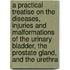 A Practical Treatise On The Diseases, Injuries And Malformations Of The Urinary Bladder, The Prostate Gland, And The Urethra