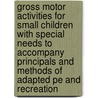 Gross Motor Activities for Small Children with Special Needs to Accompany Principals and Methods of Adapted Pe and Recreation door Jean Pyfer