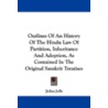 Outlines of an History of the Hindu Law of Partition, Inheritance and Adoption, as Contained in the Original Sanskrit Treatises door Julius Jolly