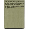 The Natural History Of British Shells, Including Figures And Descriptions Of All The Species Hitherto Discovered In Great Britain ... door Edward Donovan