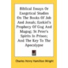 Biblical Essays Or Exegetical Studies On The Books Of Job And Jonah; Ezekiel's Prophecy Of Gog And Magog; St Peter's Spirits In Prison; And The Key To by Unknown