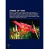 Anime Of 1996: Ranma Ã¯Â¿Â½, Mobile Suit Gundam Wing, The Vision Of Escaflowne, Slayers, Martian Successor Nadesico, Boys Over Flowers, Case Closed