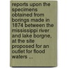 Reports Upon The Specimens Obtained From Borings Made In 1874 Between The Mississippi River And Lake Borgne, At The Site Proposed For An Outlet For Flood Waters ... door Onbekend