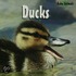 Ducks