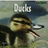 Ducks by Alice Twine