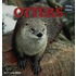 Otters