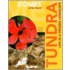 Tundra