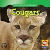 Cougars door JoAnn Early Macken
