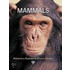 Mammals