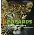 Leopards