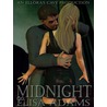 Midnight door Elisa Adams
