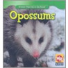 Opossums by JoAnn Early Macken