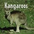 Kangaroos