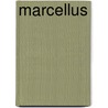 Marcellus door Inc. Icongroup International