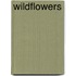 Wildflowers