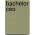 Bachelor Ceo