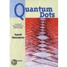 Quantum Dots door Tapash Chakraborty