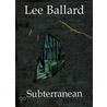 Subterranean door E.L. Ballard