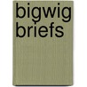Bigwig Briefs door Dr Jay Levinson