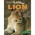 Lena the Lion