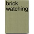 Brick Watching