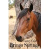 Bringo Springs door Laney Cairo